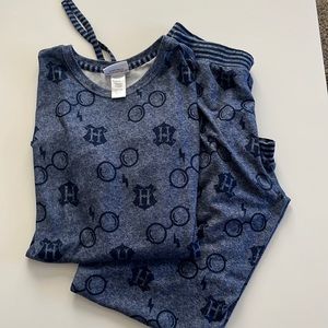 Harry Potter 2 Piece Set Cozy Super Soft Pajamas PJ Lounge. Blue. Warner Bros